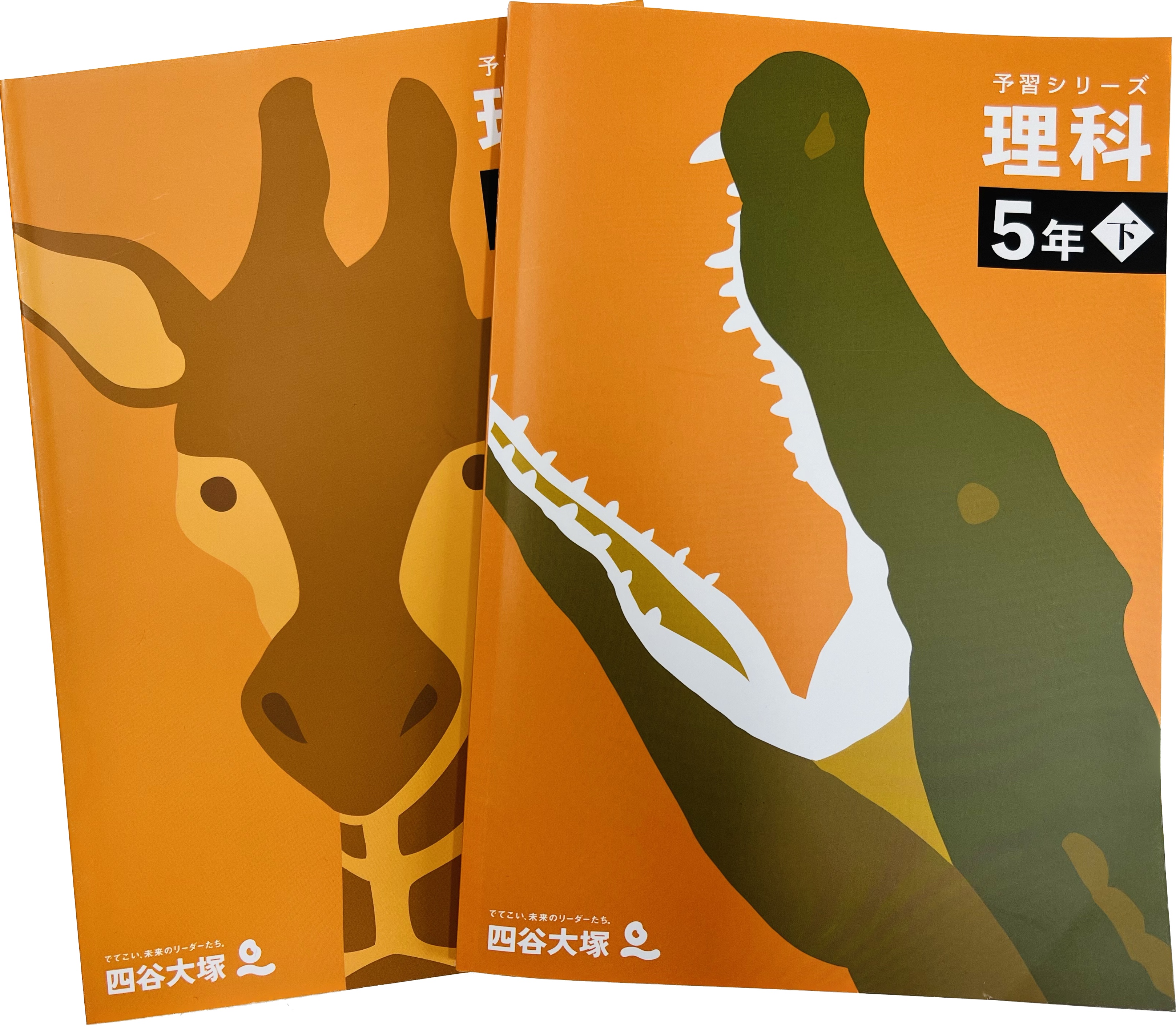 四谷大塚理科